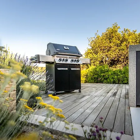 Veronica With Pool First Line At Sea *